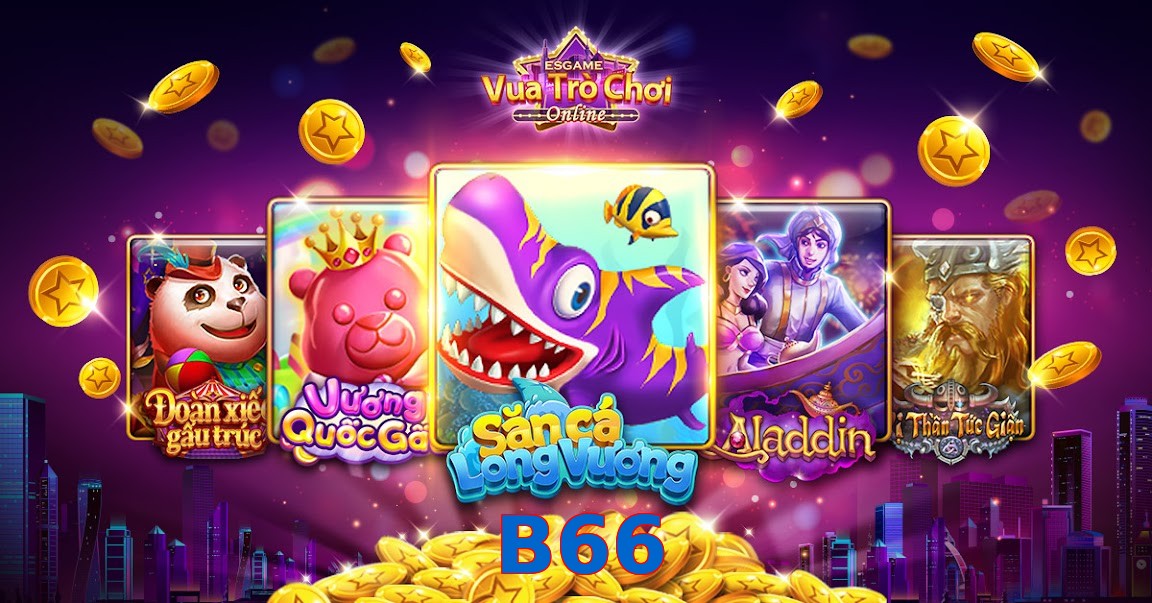 B66