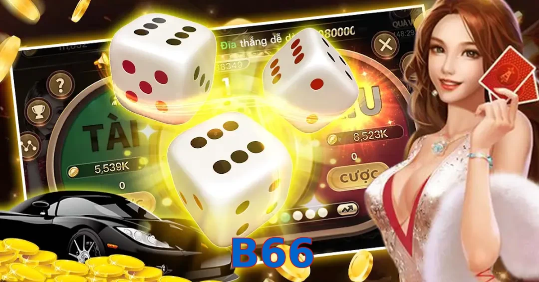 B66